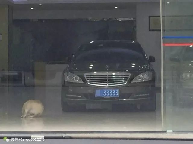 什么平臺可以抵押車(抵押車平臺可以注銷嗎)? (http://m.jtlskj.com/) 知識問答 第1張