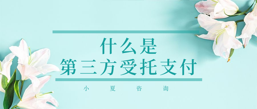 30萬(wàn)按揭車抵押融資(車輛抵押融資)? (http://m.jtlskj.com/) 知識(shí)問(wèn)答 第3張