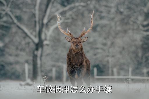 辦理車輛抵押貸款需要什么資料(抵押貸款車輛辦理資料需要哪些)？ (http://m.jtlskj.com/) 知識問答 第1張