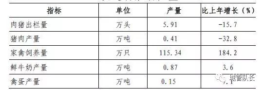 上海私家車抵押(上海抵押車私人抵押)？ (http://m.jtlskj.com/) 知識(shí)問(wèn)答 第2張