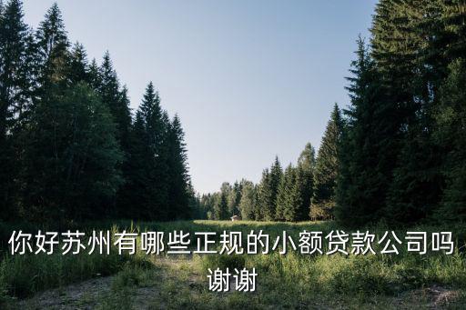 蘇州無抵押信用貸款(蘇州正規(guī)貸款企業(yè))？ (http://m.jtlskj.com/) 知識問答 第1張